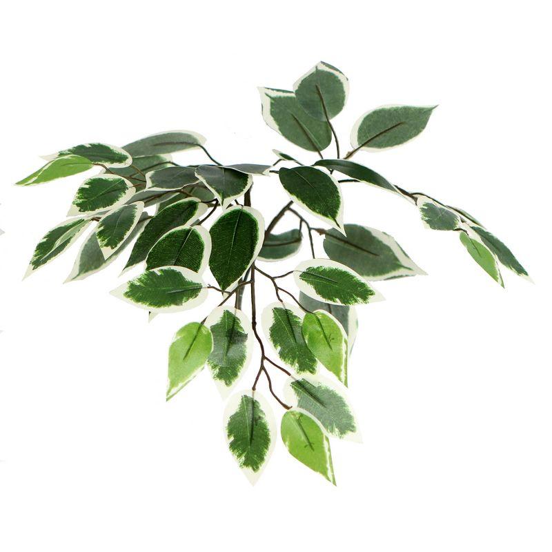 Vickerman 4' Artificial Variegated Ficus Bush, Rattan Basket In a 9"Lx9"Wx9.5"H base.