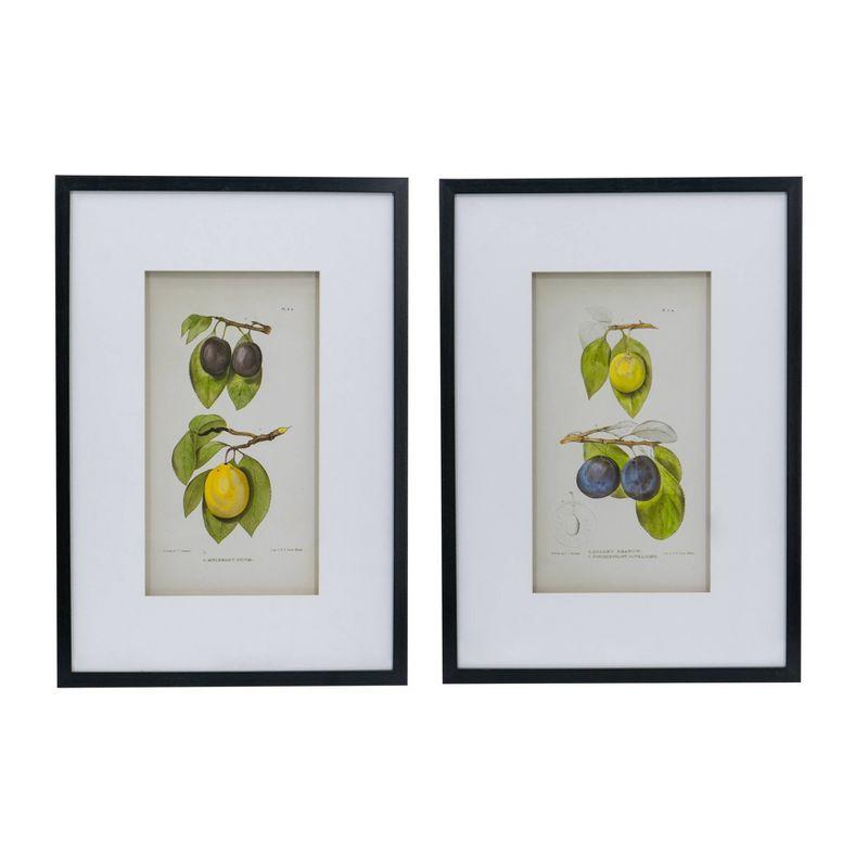 Set of 2 Smithsonian Fruit Framed Wall Arts - A&B Home: Transitional Decor, Vertical Orientation, Includes Mounting Hardware