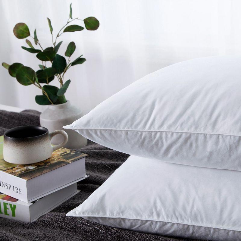 Standard White Feather and Polyester Bed Pillow Set