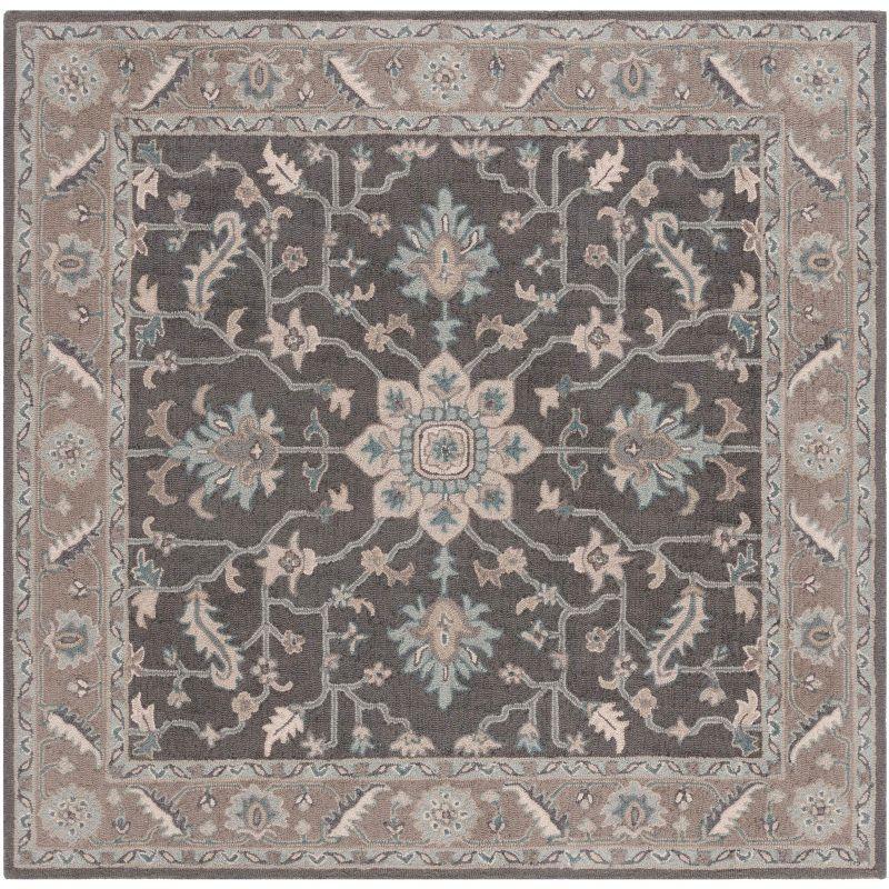 Blossom BLM217 Hand Tufted Indoor Area Rug - Dark Grey/Light Brown - 6'x6' - Safavieh