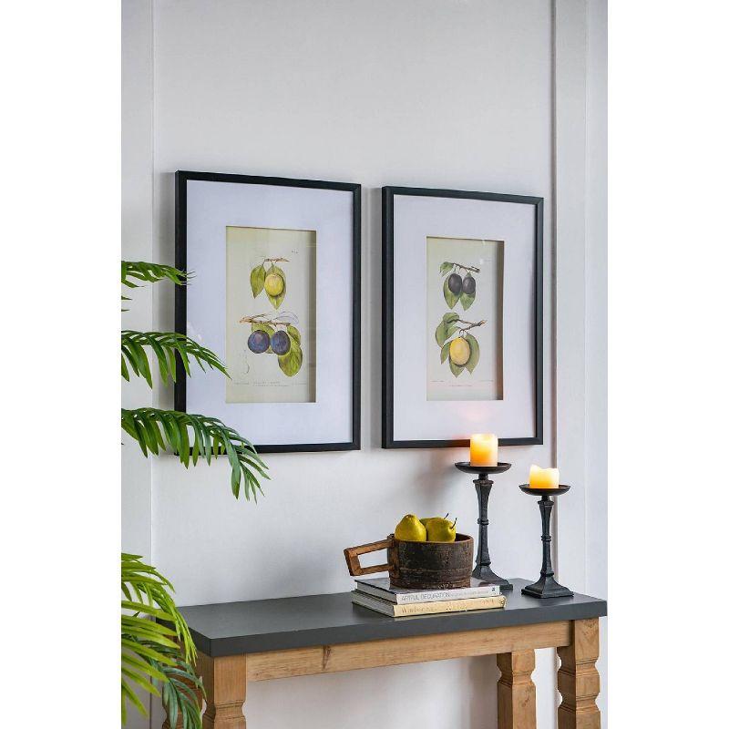 Set of 2 Smithsonian Fruit Framed Wall Arts - A&B Home: Transitional Decor, Vertical Orientation, Includes Mounting Hardware