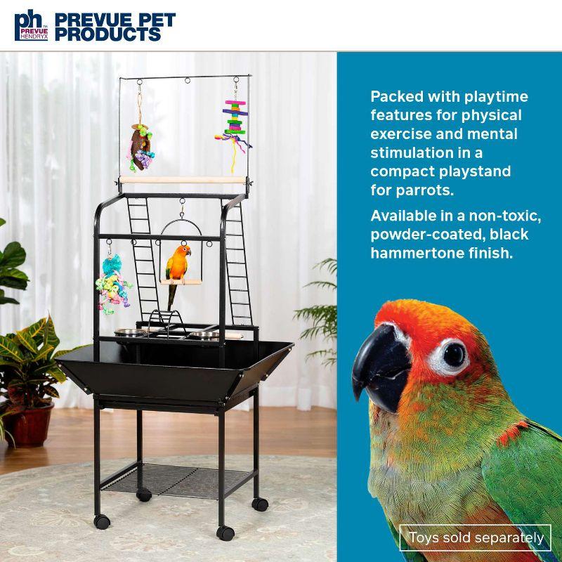 Prevue Pet Products Small Parrot Playstand with Wheels, Bird Stand Activity Play Center with Perches and Ladders,Black Hammertone Finish