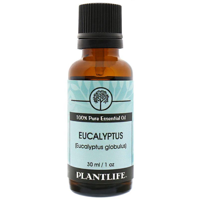 Plantlife Eucalyptus Essential Oil