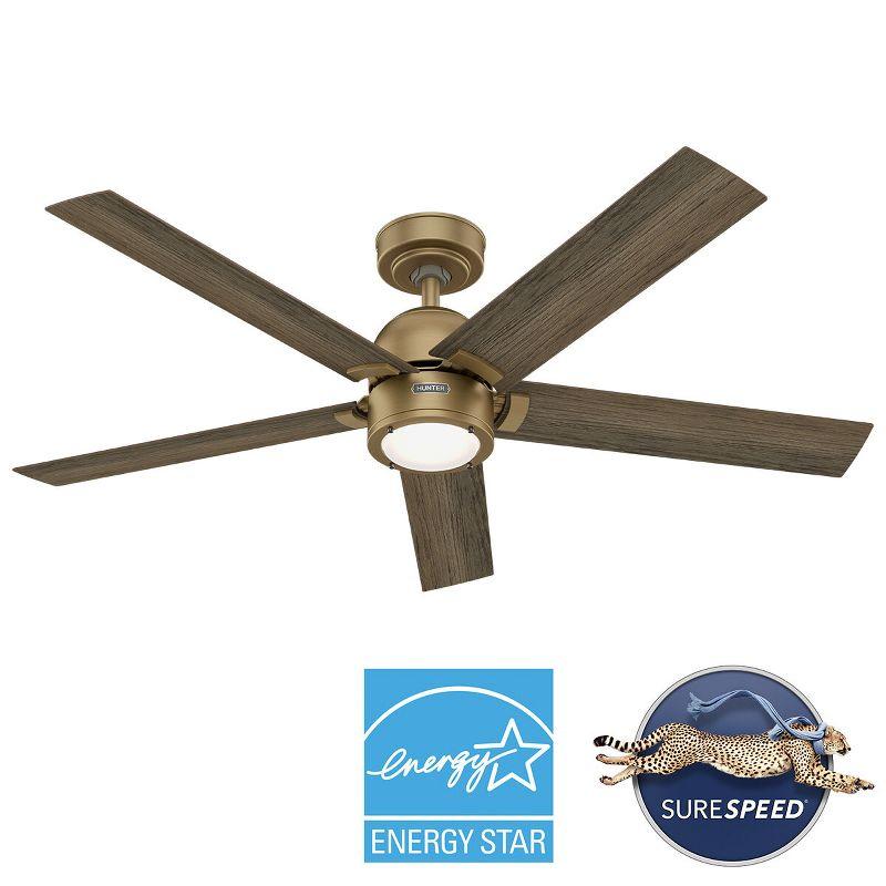 Hunter 52 Inch Erling ENERGY STAR® Ceiling Fan With Lights And Remote