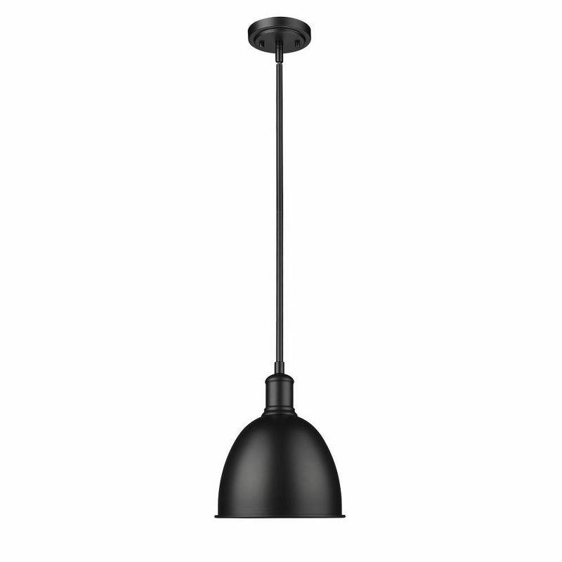 Matte Black Glass Indoor/Outdoor Pendant Light