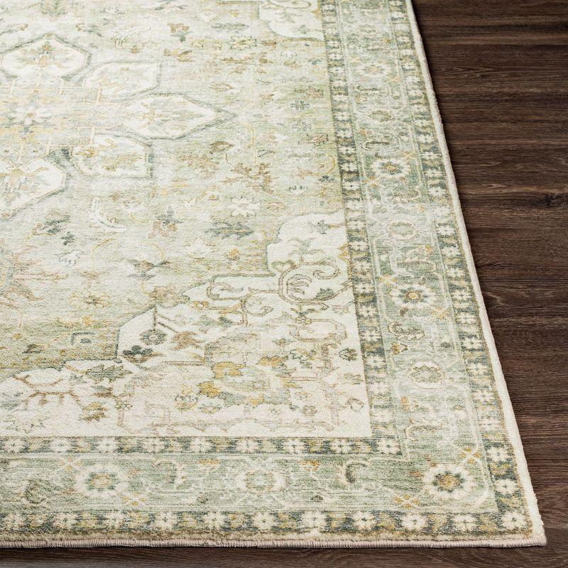 Noe Machine Woven Oriental Area Rug