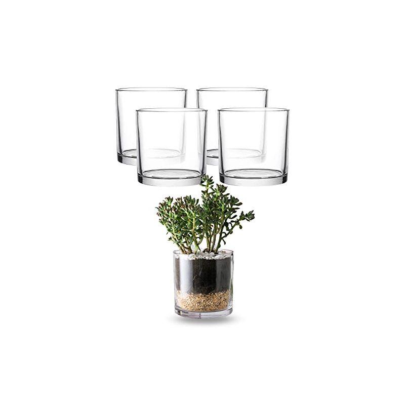 Elegant Clear Glass Cylinder Vase for Chic Floral Arrangements