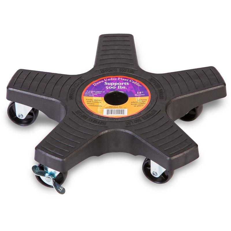 Plantstand Caddy Plant Stand