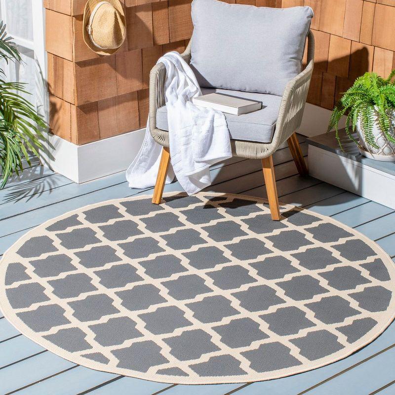 Courtyard CY6903 Power Loomed Indoor/Outdoor Area Rug  - Safavieh