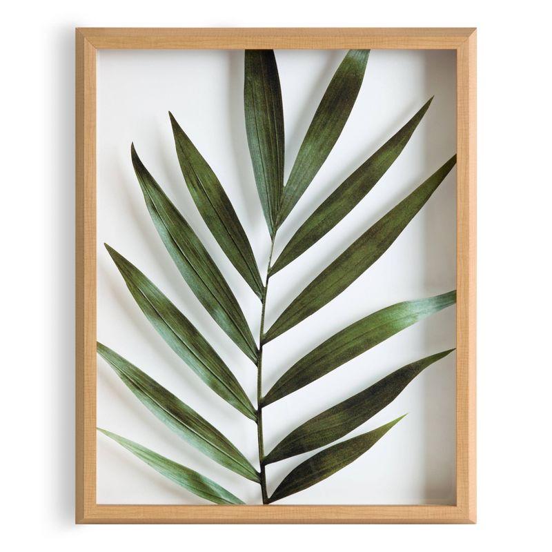 16" x 20" Blake Botanical 5F Framed Printed Glass by Amy Peterson - Kate & Laurel All Things Decor