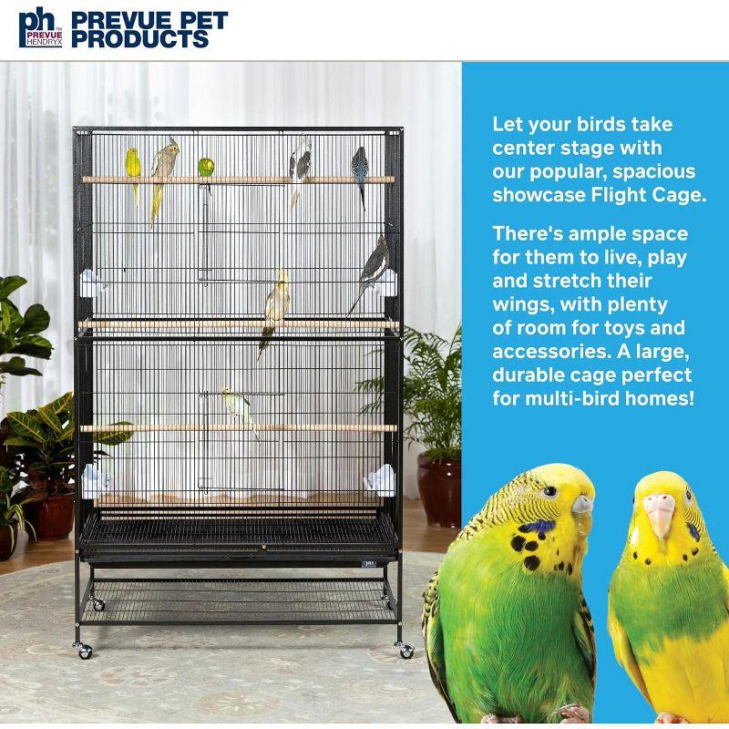 Prevue Pet Products F050 Pet Products Wrought Iron Flight Cage, X-Large, Hammerstone Black