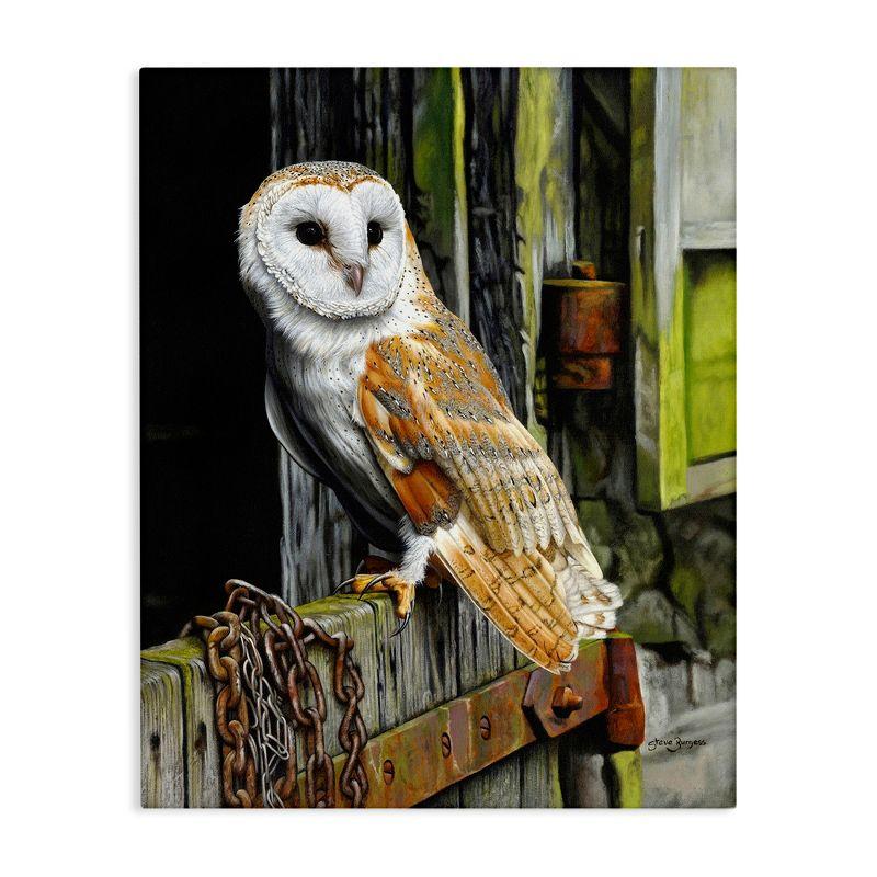 Stupell Industries " Owl Perched On Barn Door " by Steve Burgess Painting Print