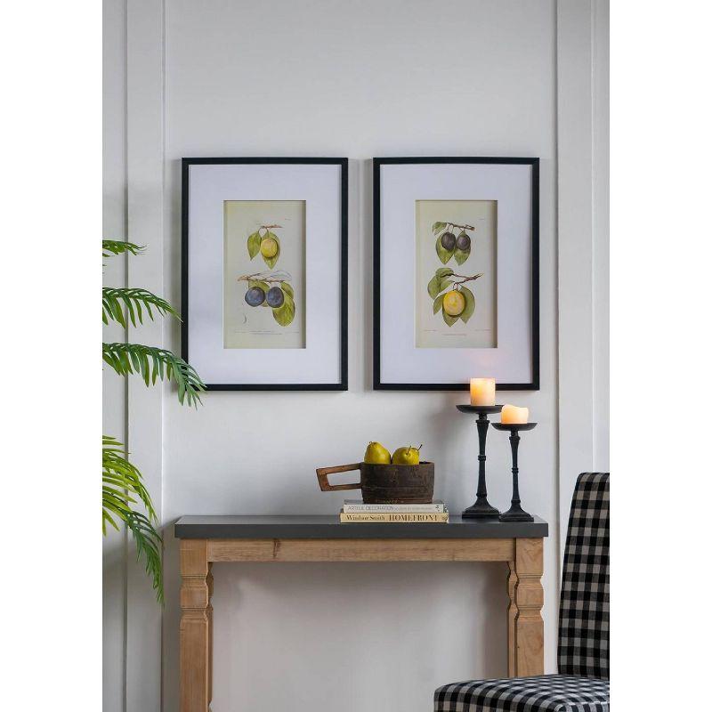 Set of 2 Smithsonian Fruit Framed Wall Arts - A&B Home: Transitional Decor, Vertical Orientation, Includes Mounting Hardware
