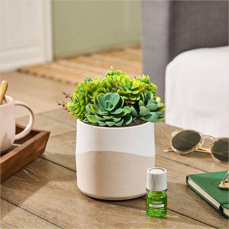 Lifelines Planter Diffuser - Succulent