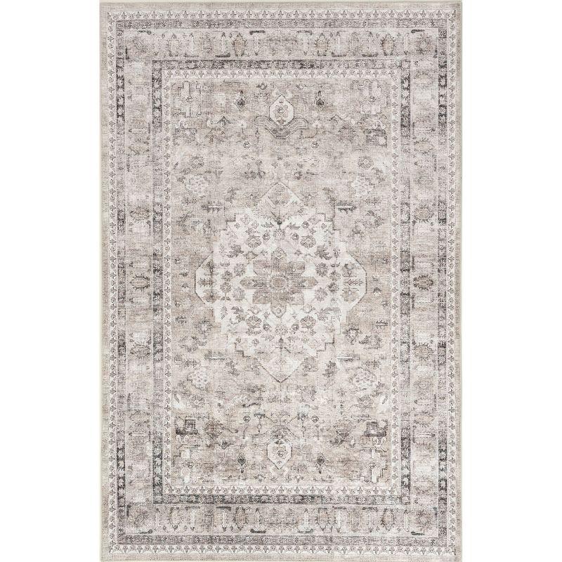 Nuloom Davi Faded Spill Proof Treated Pet Friendly Premium Machine Washable Area Rug, 8' x 10', Stone