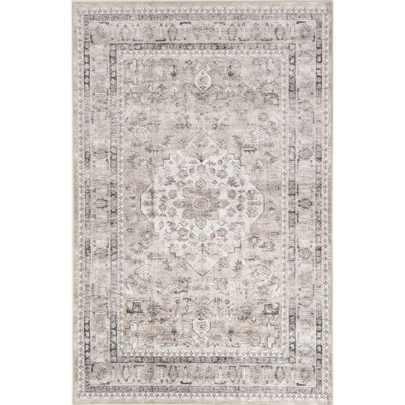 Nuloom Davi Faded Spill Proof Machine Washable Indoor Area Rug