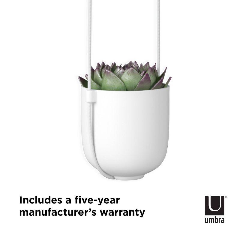 Umbra Bolo Ceramic Hanging Planter