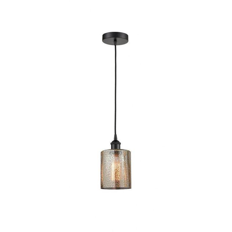 Cobbleskill 1 - Light Single Drop Pendant Pendant