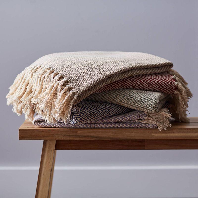 50"x60" Handloom Chevron Throw Blanket - Design Imports