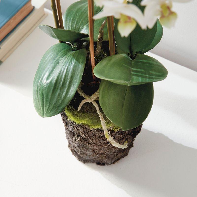 Plum & Post Phalaenopsis Orchid Faux (Fake) Drop-In 20"