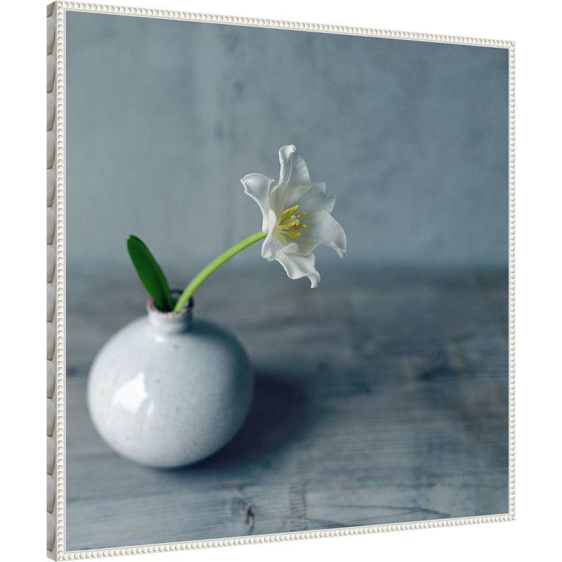 Amanti Art Single Bloom by Sarah Gardner Framed Canvas Wall Art