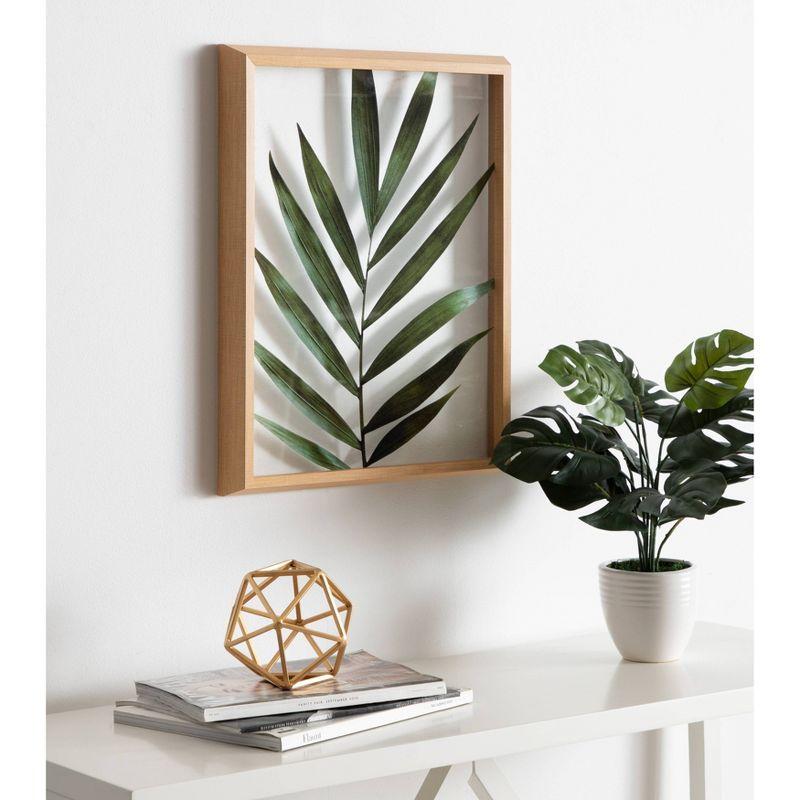 16" x 20" Blake Botanical 5F Framed Printed Glass by Amy Peterson - Kate & Laurel All Things Decor