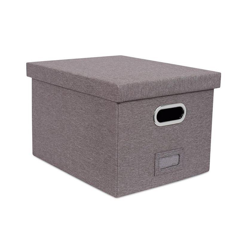 BirdRock Home Internet's Best Collapsible File Storage Fabric Box