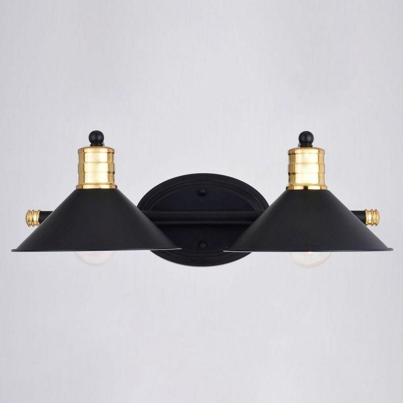 Akron Black and Brass 2-Light Steel Vanity Fixture