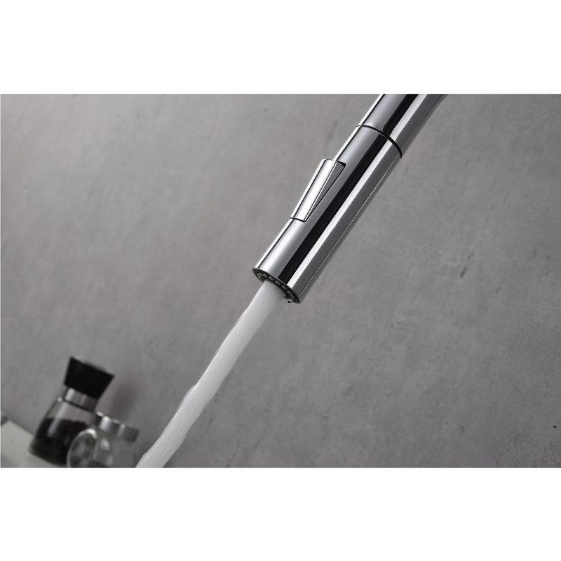 Pull Down Single Handle Kitchen Faucet with Accessories