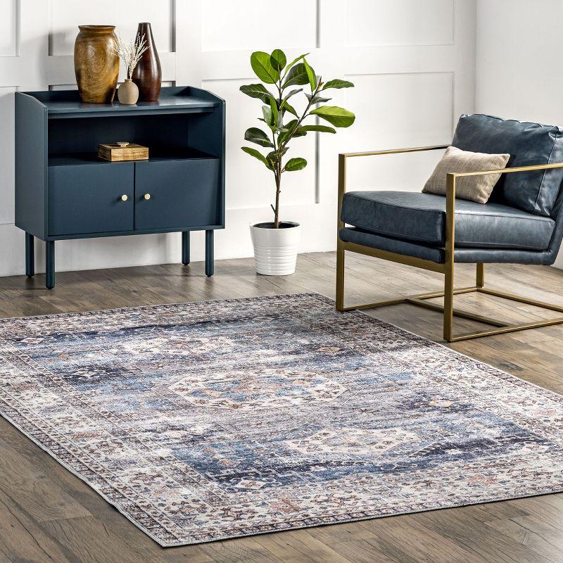 Nuloom Drina Distressed Machine Washable Indoor Area Rug