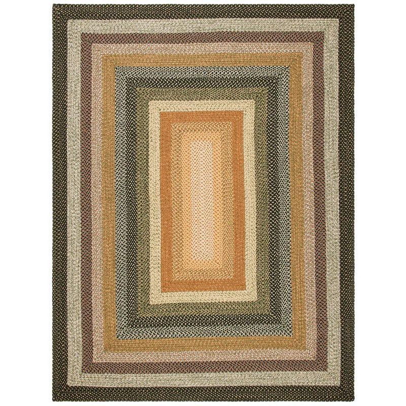 Braided BRD308 Hand Woven Area Rug  - Safavieh