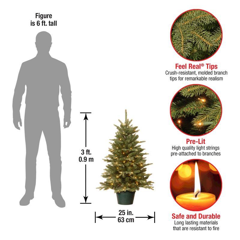 The Holiday Aisle® 3ft. Everyday Collection Potted Evergreen Tree with Clear Lights