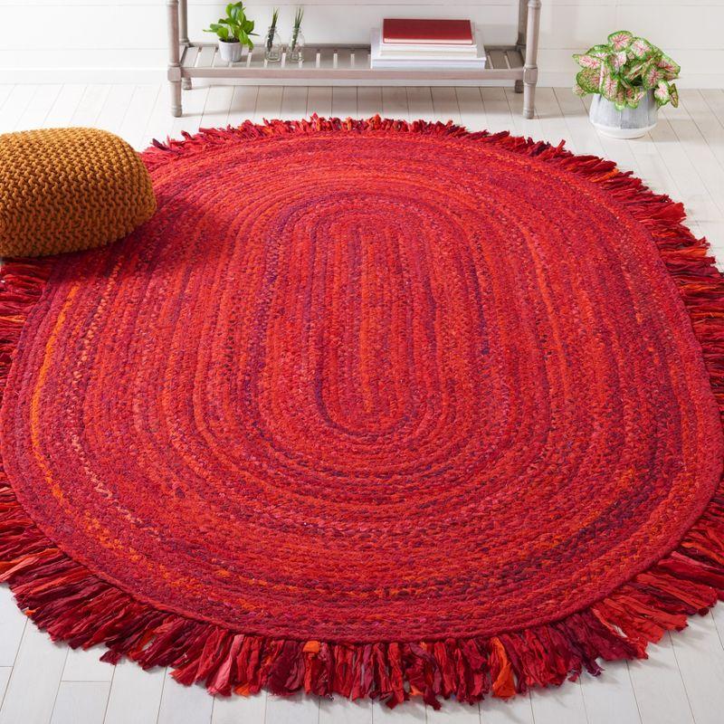 Braided BRD451 Hand Woven Area Rug  - Safavieh