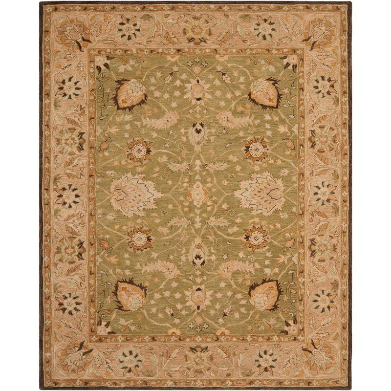 Anatolia AN512 Hand Tufted Indoor Area Rug - Sage/Beige - 8'x10' - Safavieh