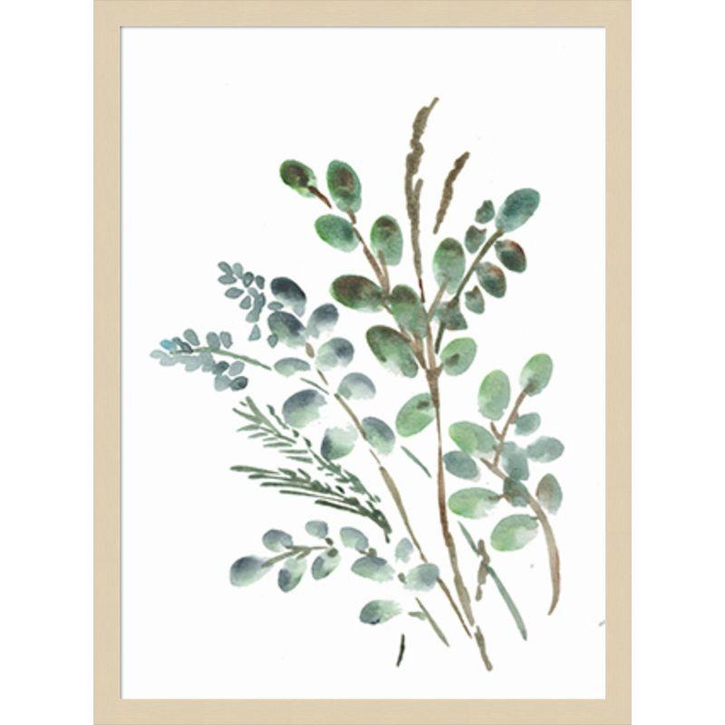 Amanti Art Farmhouse Botanicals II by Marcy Chapman Wood Framed Wall Art Print