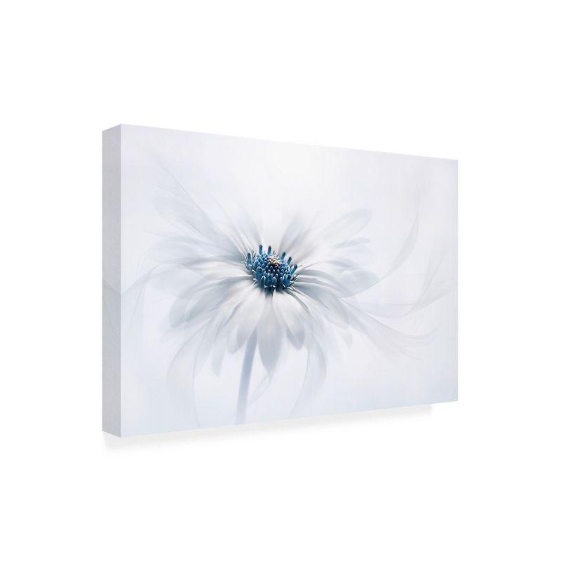 Trademark Fine Art - Jacky Parker 'Serenity' Outdoor All-Weather Wall Decor - 30x47