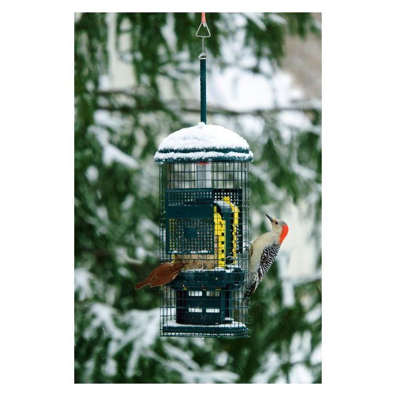 Brome Bird Care Squirrel Buster Truly Squirrel-Proof Suet Feeder (Green)