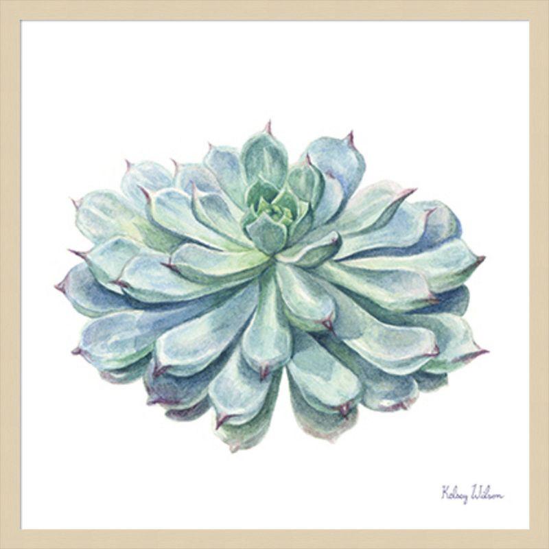 Amanti Art Single Succulents I by Kelsey Wilson Framed Wall Art Print