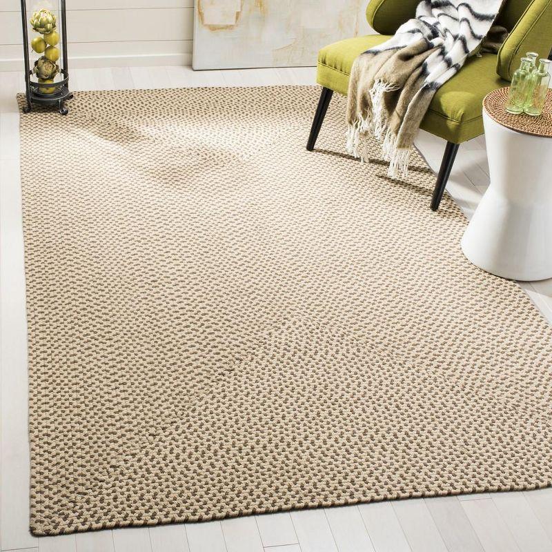 Braided BRD173 Hand Woven Area Rug  - Safavieh