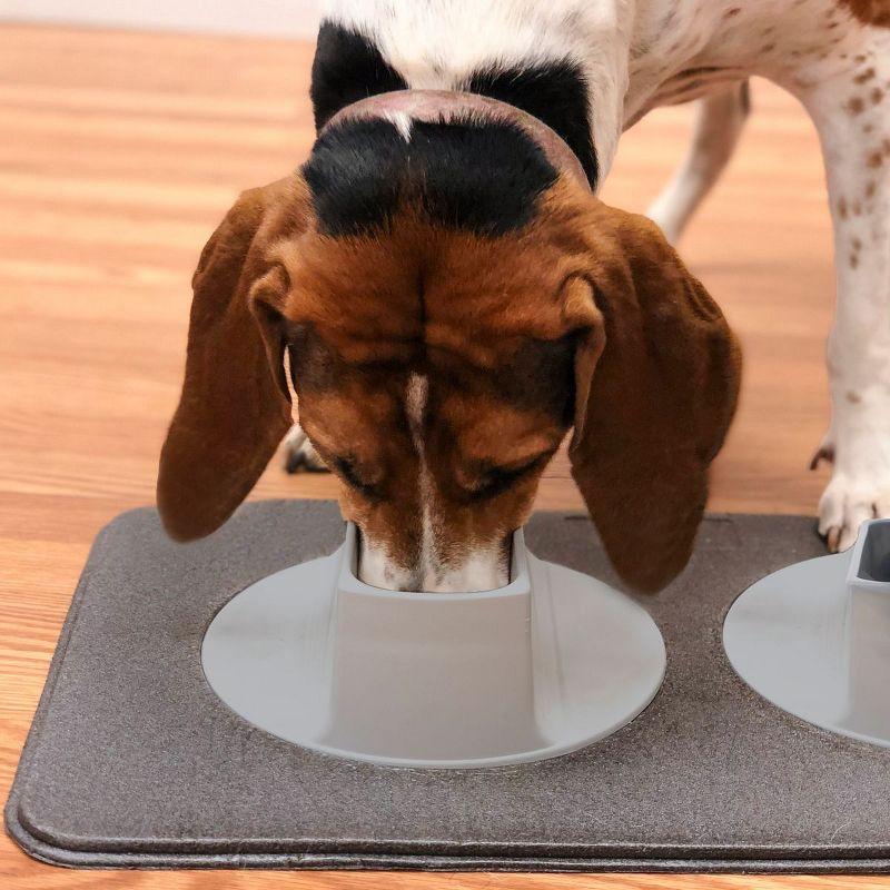 Flipo Ear Clear Innovative Pet Feeding Station With 2 Gray Bowls - Promotes Natural Eating Posture