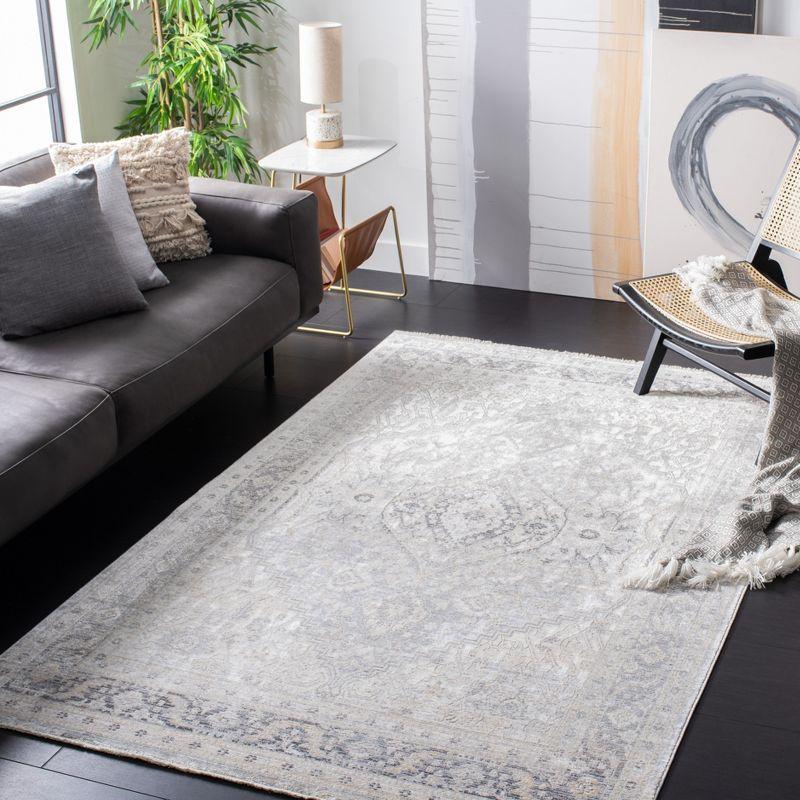 Dream DRM411 Power Loomed Indoor Area Rug - Grey/Ivory - 4'x6' - Safavieh