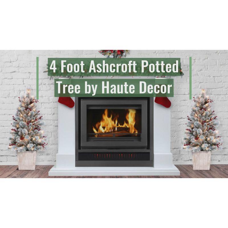 4ft Pre-Lit Flocked Ashcroft Fir Potted Artificial Christmas Tree - Haute Décor: Indoor Decor, Incandescent Lights