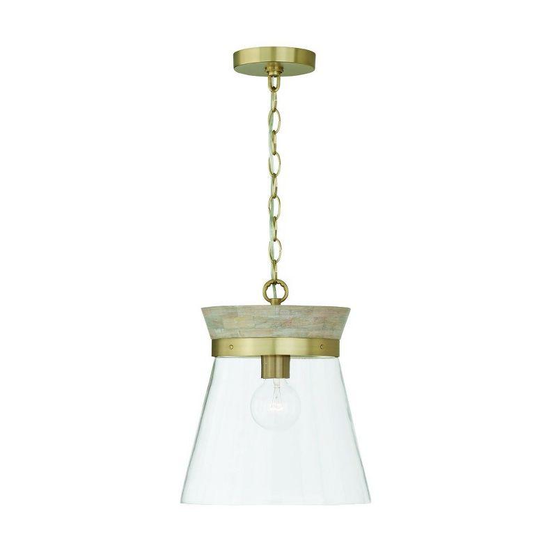 Finn 1-Light White Wash and Matte Brass Pendant with Clear Glass Shade