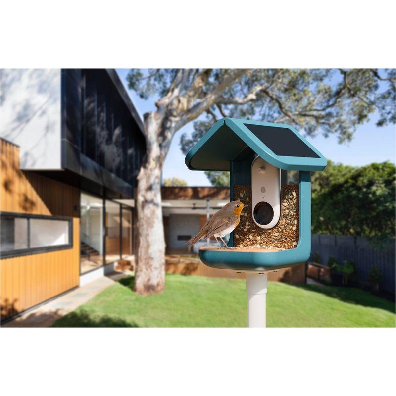 Bird Buddy Smart Bird Feeder with Camera and Solar Roof: Weather-Resistant, Hanging or Pole Mount