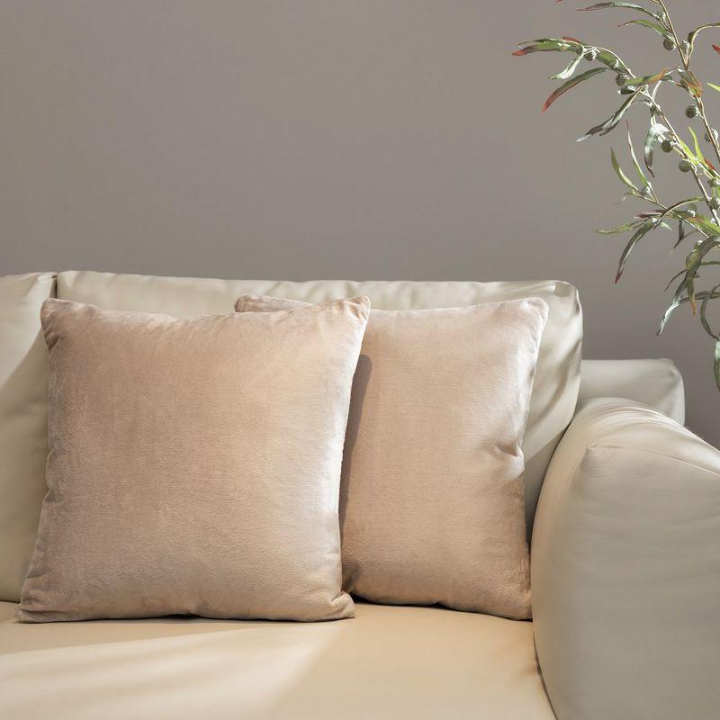 Cheer Collection Throw Pillow (Set of 2)