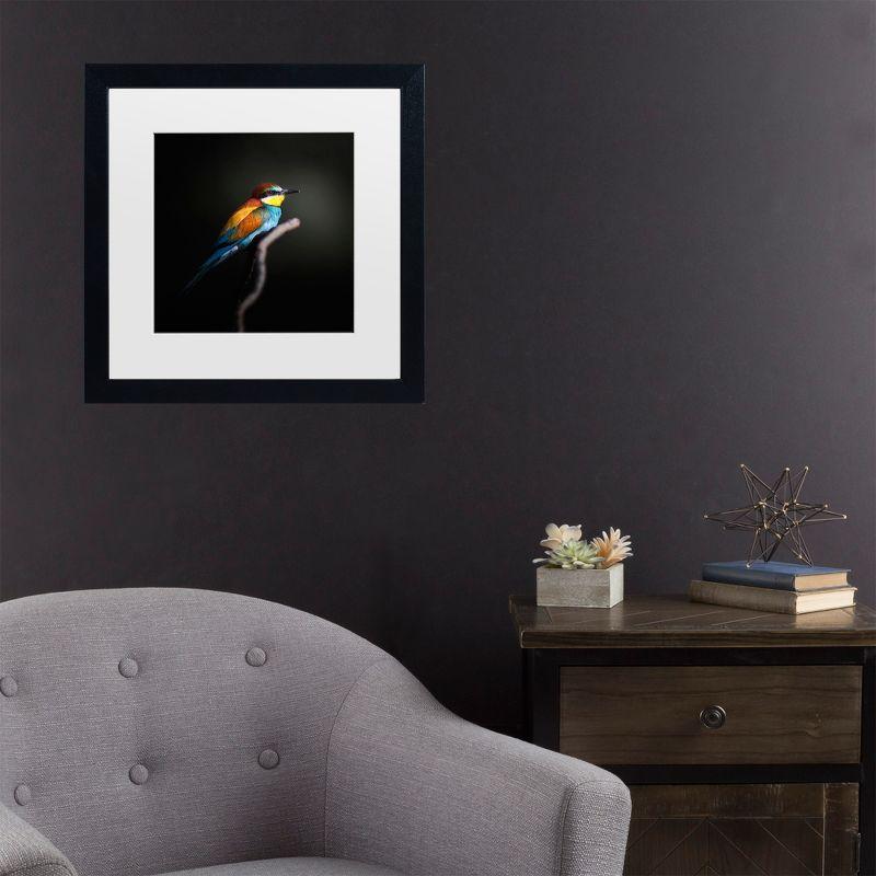 Colorful Bird Print on Canvas with Black Wood Frame