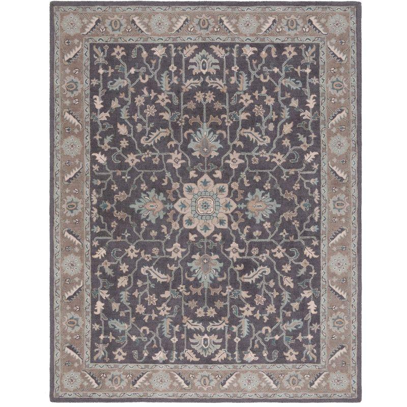 Blossom BLM217 Hand Tufted Area Rug - Dark Grey/Light Brown - 8'x10' - Safavieh.
