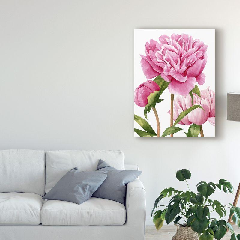 Trademark Fine Art -Grace Popp 'Winsome Peonies Ii' Canvas Art