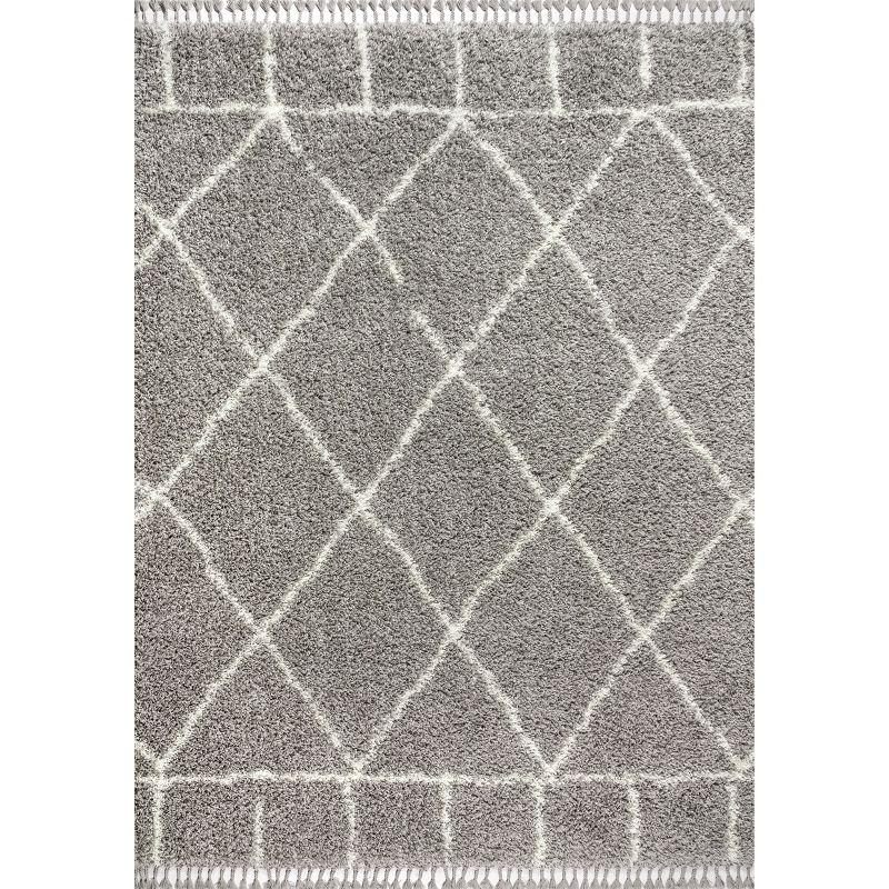 4'x6' Mercer Shag Plush Tassel Moroccan Geometric Trellis Area Rug, Grey/Cream - JONATHAN Y