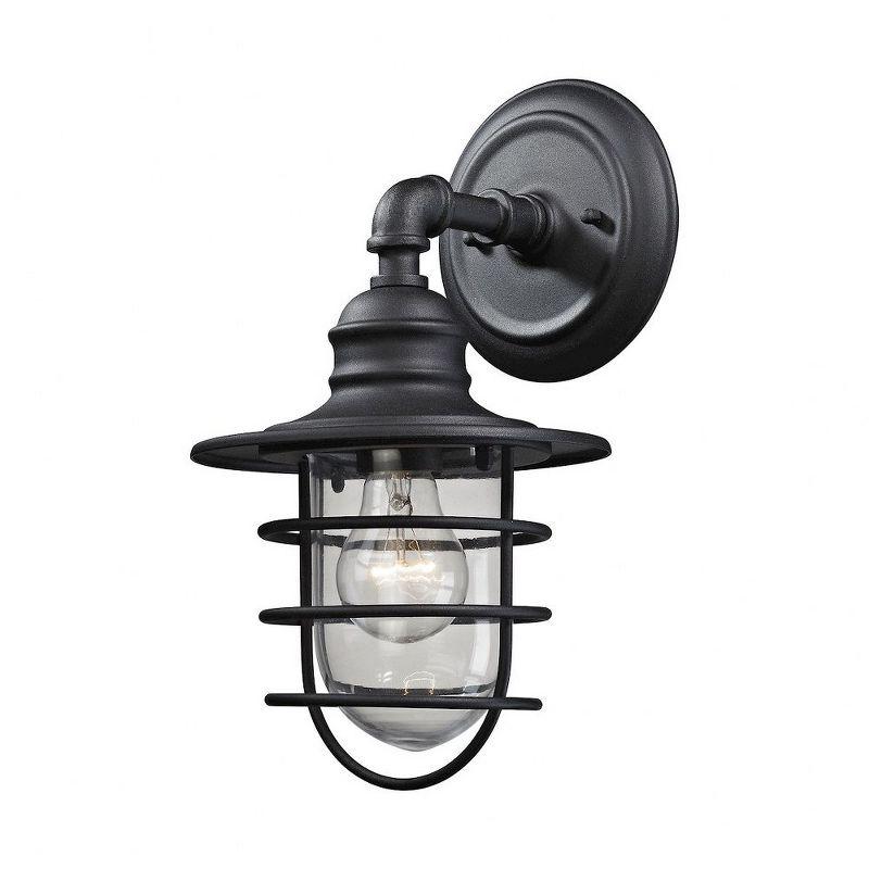 Black Metal and Glass Outdoor Wall Sconce, 13" x 7"